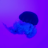 adityajain.us favicon